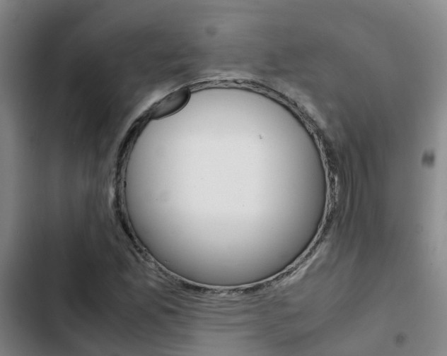 X0000103271165200808291100