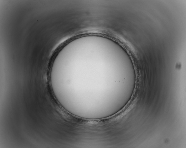 X0000103271166200808291100