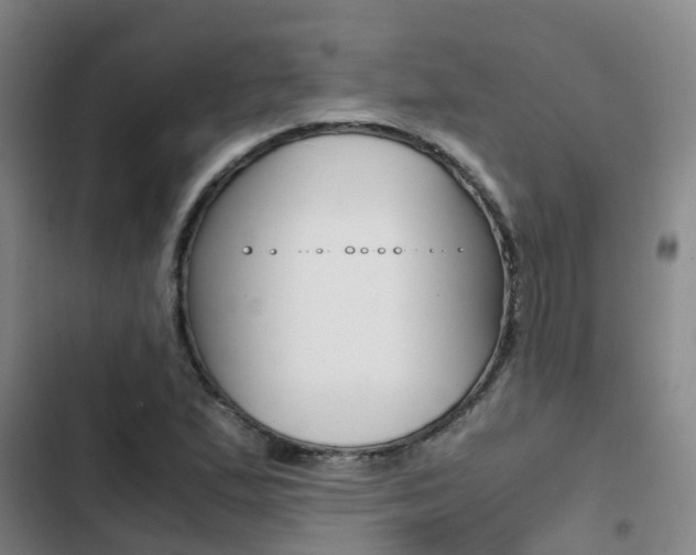 X0000103271167200808291100