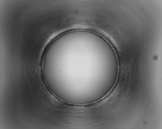 X0000103271168200808291100
