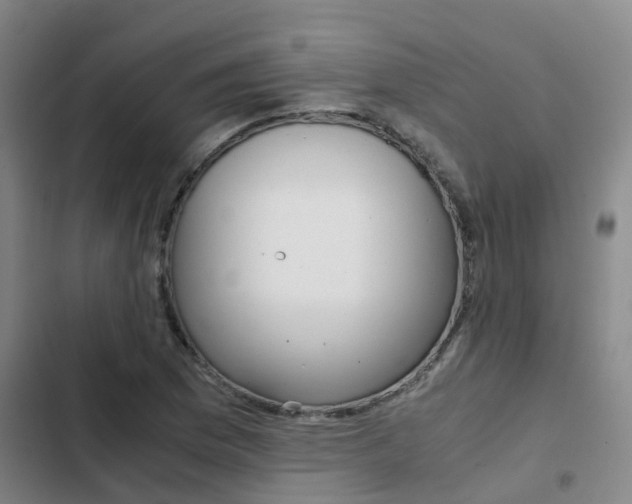 X0000103271169200808291100