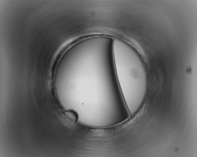 X0000103271172200808291100