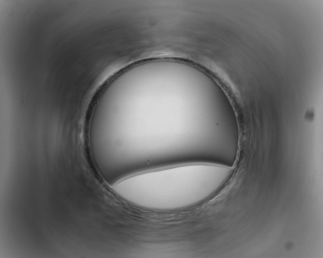 X0000103271173200808291100