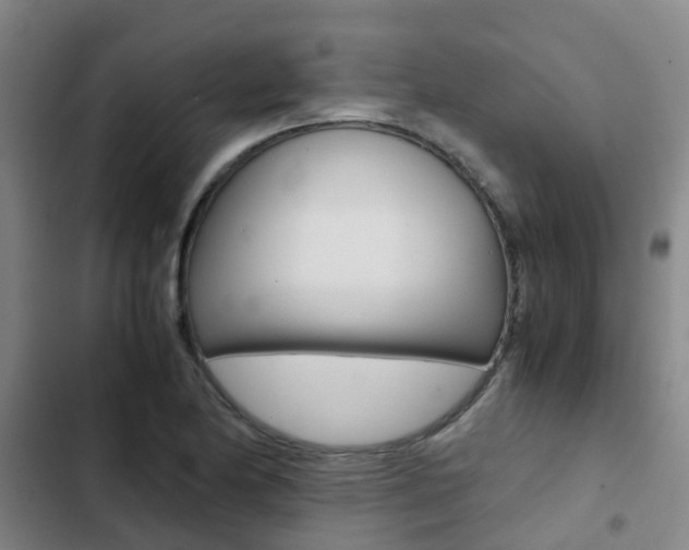 X0000103271174200808291100