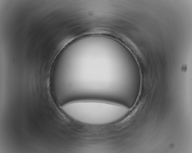 X0000103271177200808291100