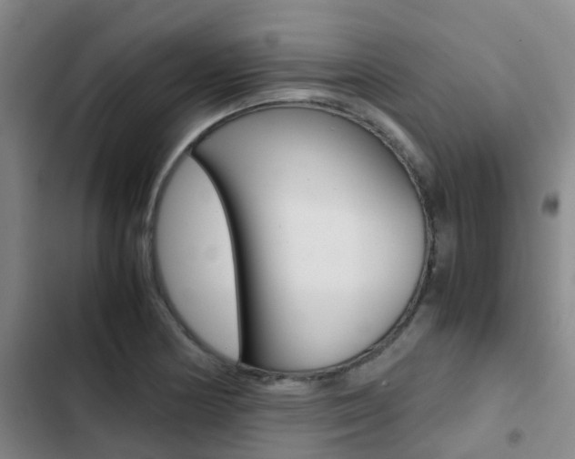 X0000103271178200808291100