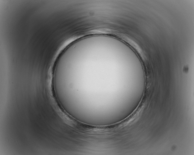 X0000103271179200808291100