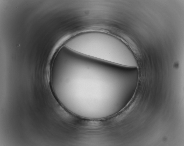X0000103271180200808291100