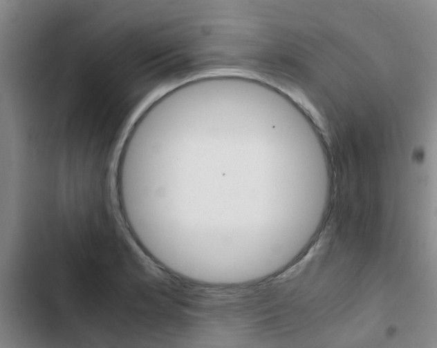 X0000103271181200808291100