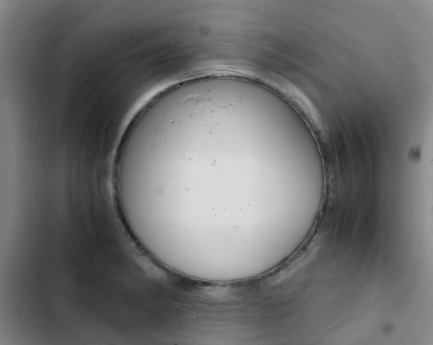 X0000103271182200808291100