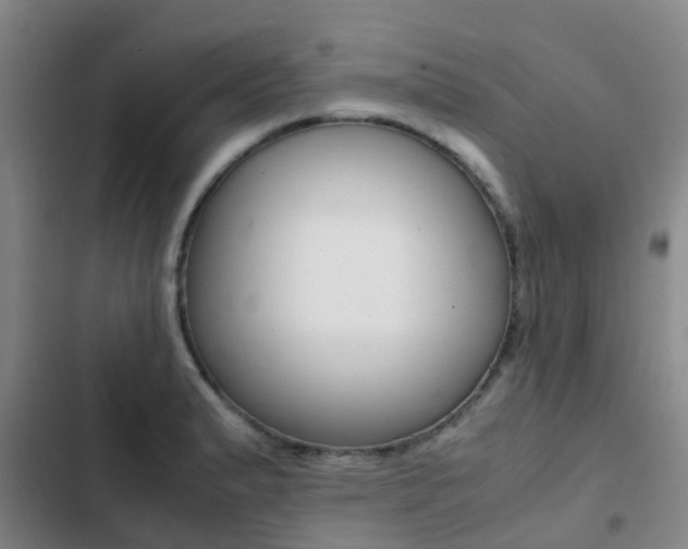 X0000103271183200808291100