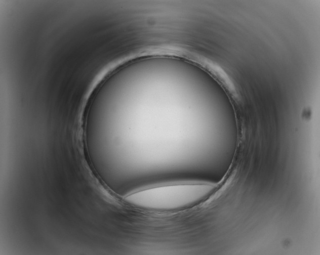 X0000103271184200808291100