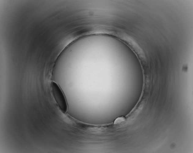 X0000103271185200808291100