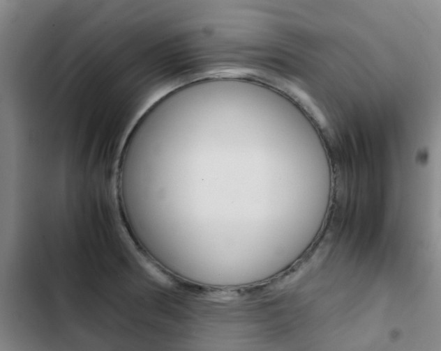 X0000103271186200808291100