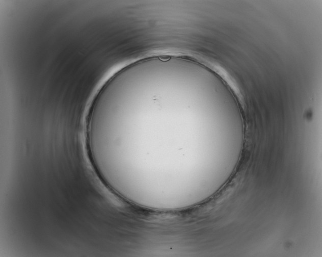 X0000103271187200808291100