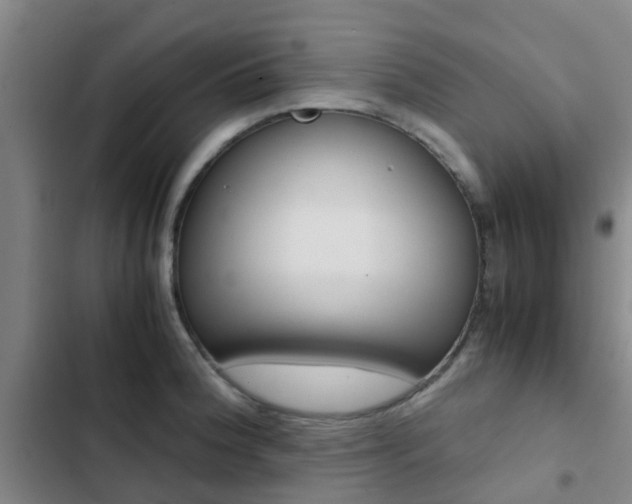 X0000103271188200808291100