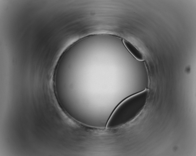 X0000103271189200808291100