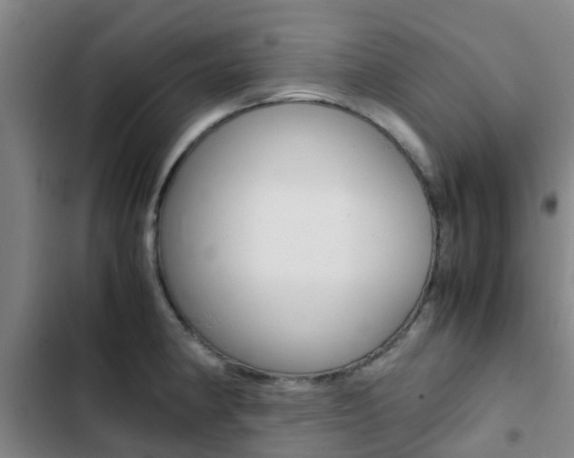 X0000103271190200808291100