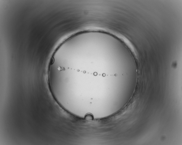 X0000103271191200808291100