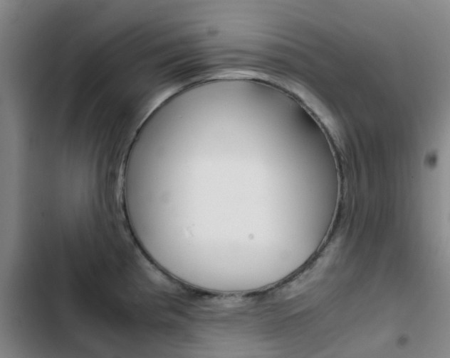 X0000103271193200808291100