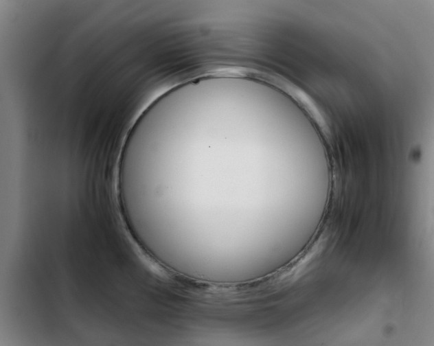 X0000103271194200808291100