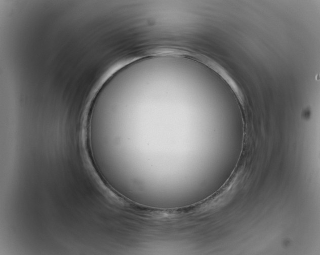 X0000103271195200808291100