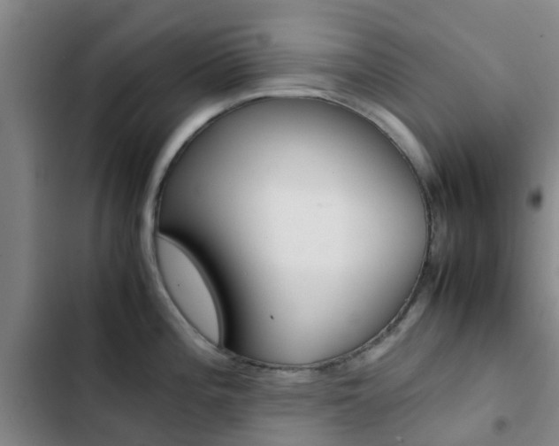 X0000103271196200808291100