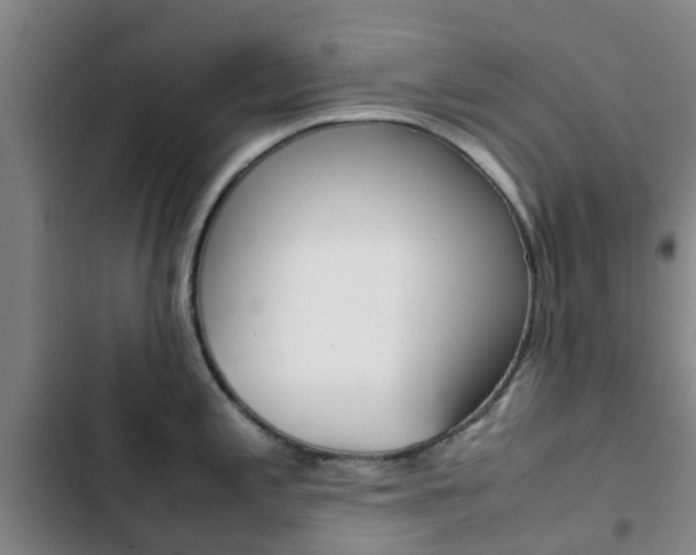 X0000103271197200808291100
