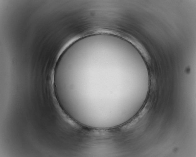 X0000103271198200808291100