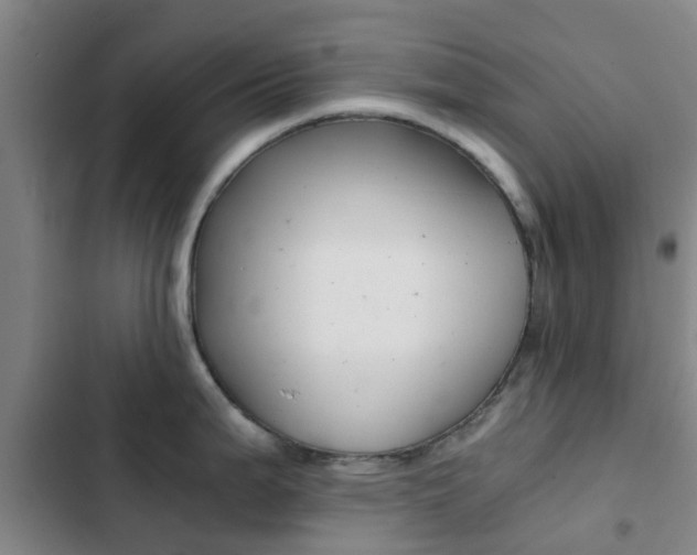 X0000103271199200808291100