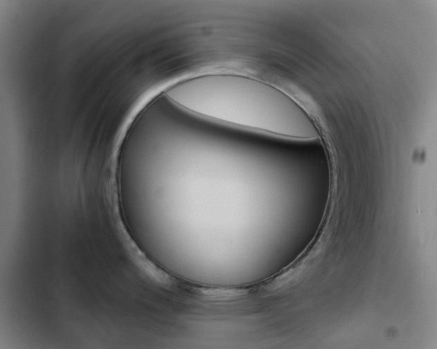 X0000103271200200808291100