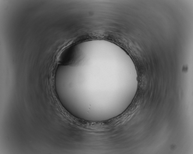 X0000103271201200808291059