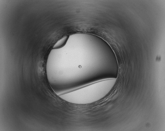 X0000103271202200808291059