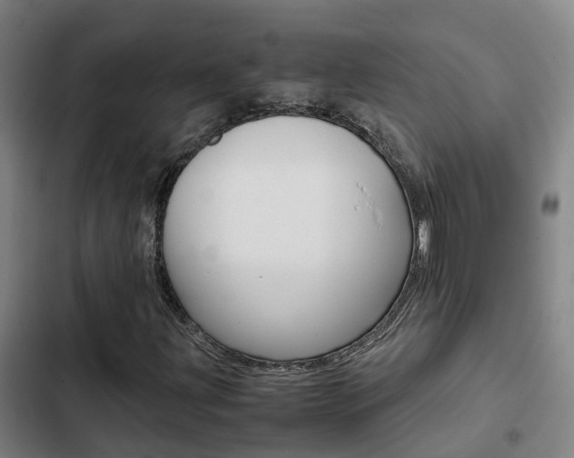 X0000103271203200808291059