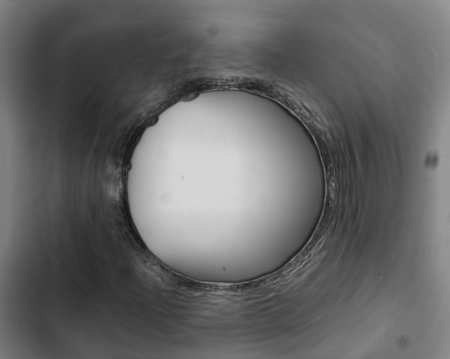 X0000103271204200808291059