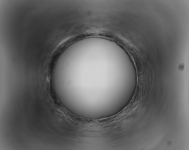 X0000103271206200808291059
