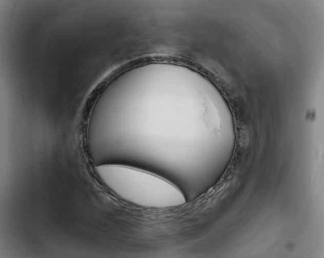 X0000103271208200808291059