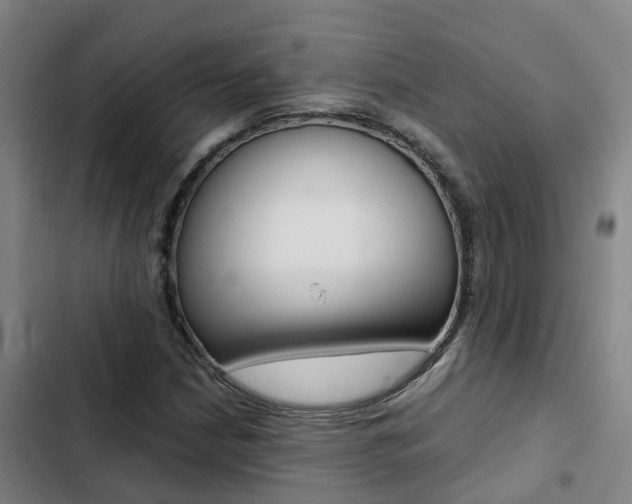 X0000103271210200808291059