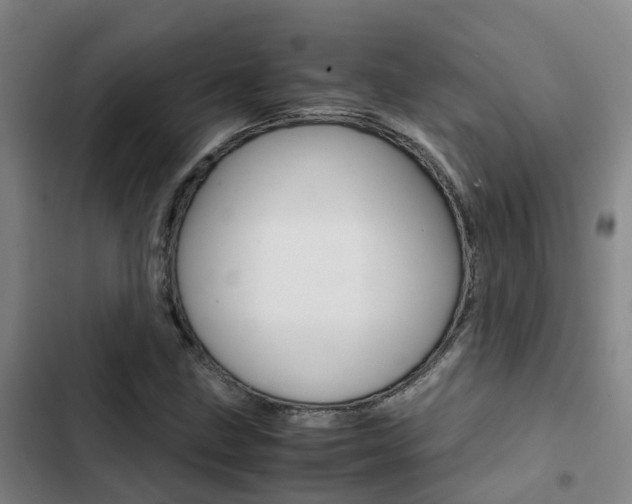 X0000103271211200808291059