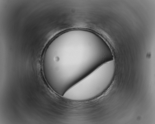 X0000103271212200808291059