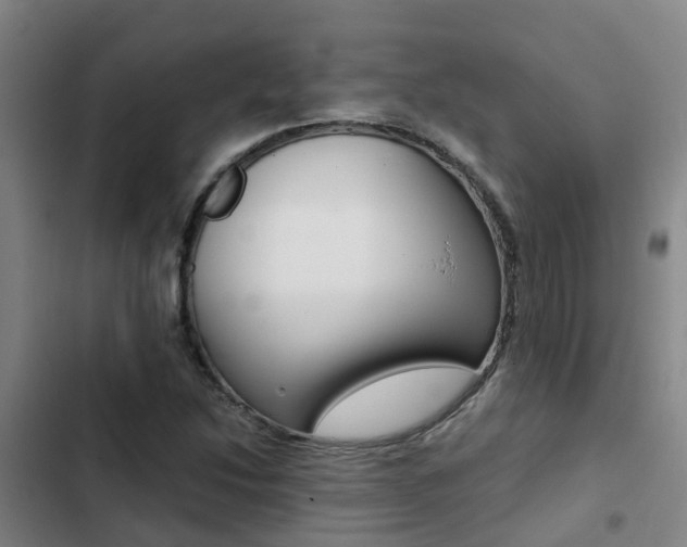 X0000103271214200808291059