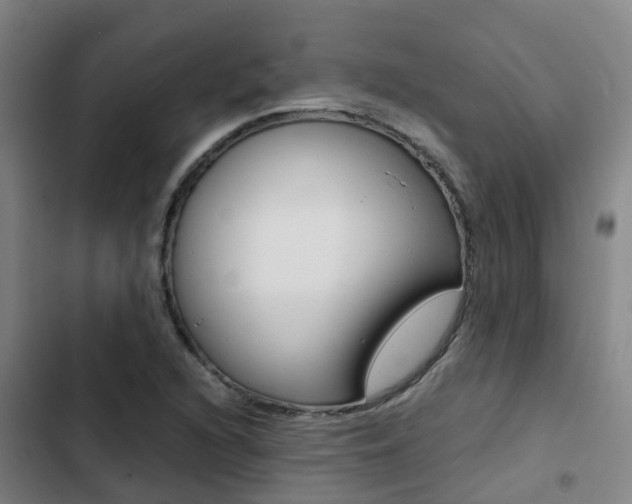 X0000103271216200808291059