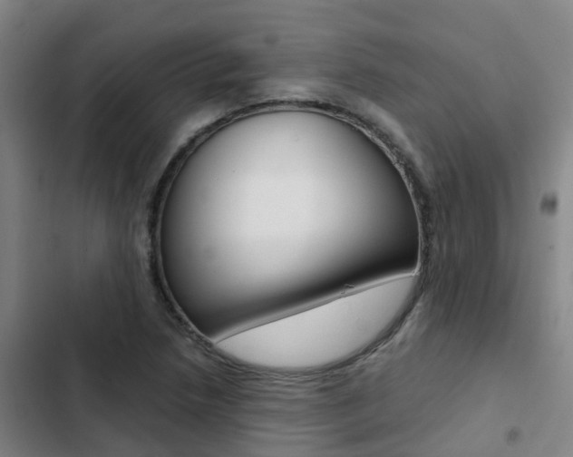 X0000103271218200808291059