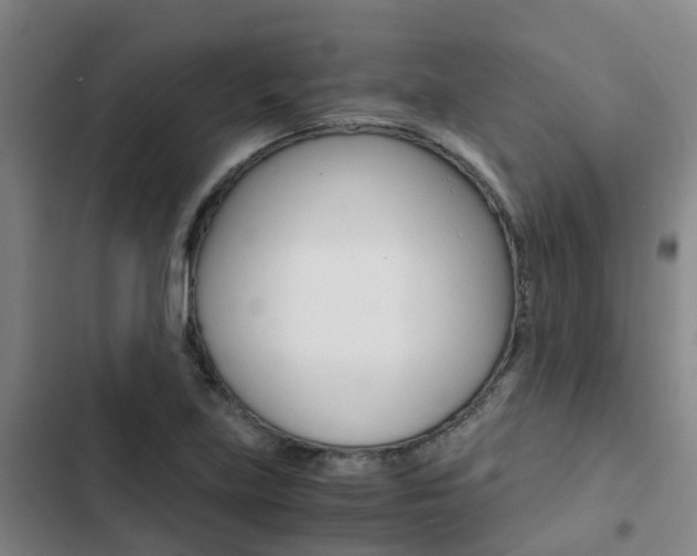 X0000103271219200808291059