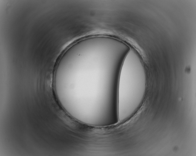 X0000103271220200808291059