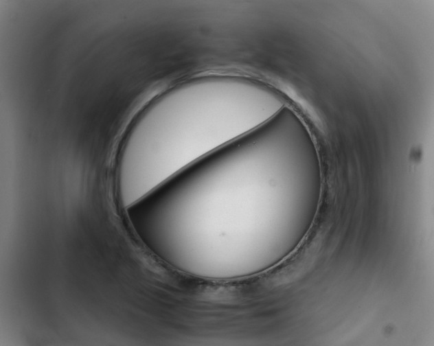 X0000103271221200808291059
