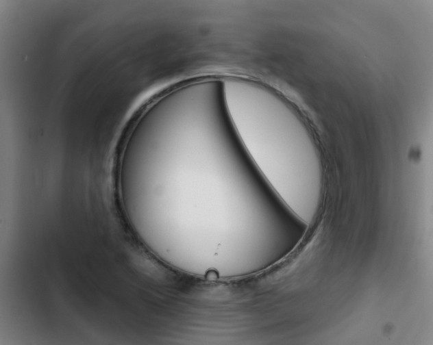 X0000103271222200808291059