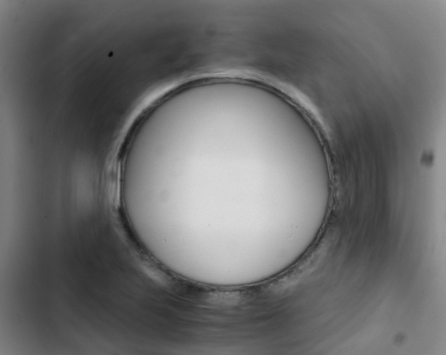 X0000103271223200808291059