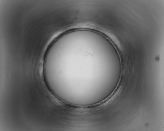 X0000103271224200808291059