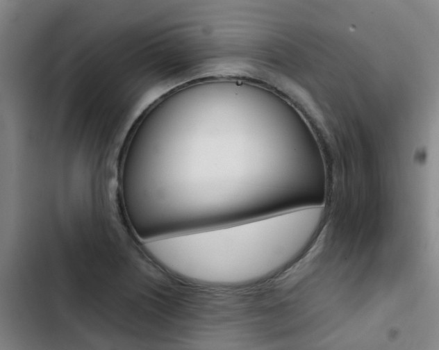 X0000103271226200808291059